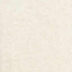 H-4081