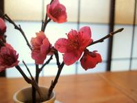テーブルの一輪挿しの梅の花♪